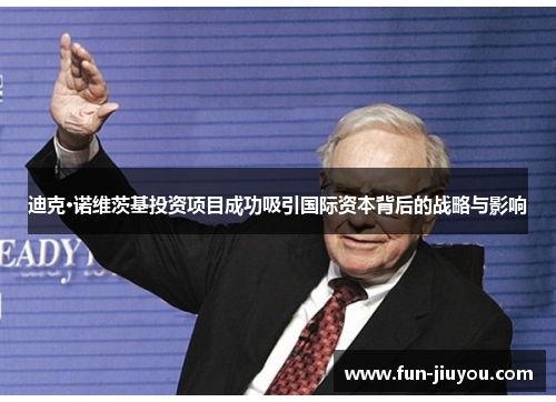 迪克·诺维茨基投资项目成功吸引国际资本背后的战略与影响