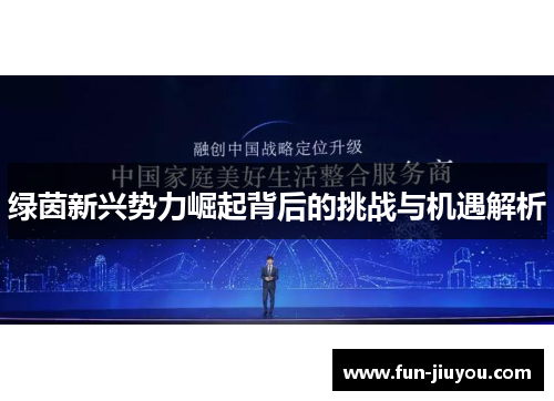 绿茵新兴势力崛起背后的挑战与机遇解析