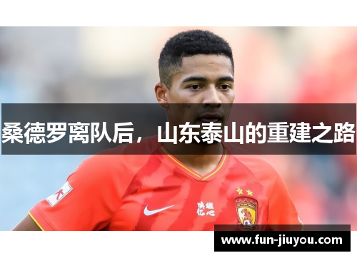 桑德罗离队后，山东泰山的重建之路